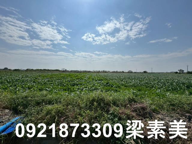 台南七股農地-3