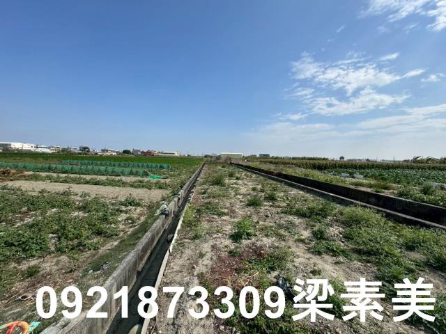台南七股農地-6