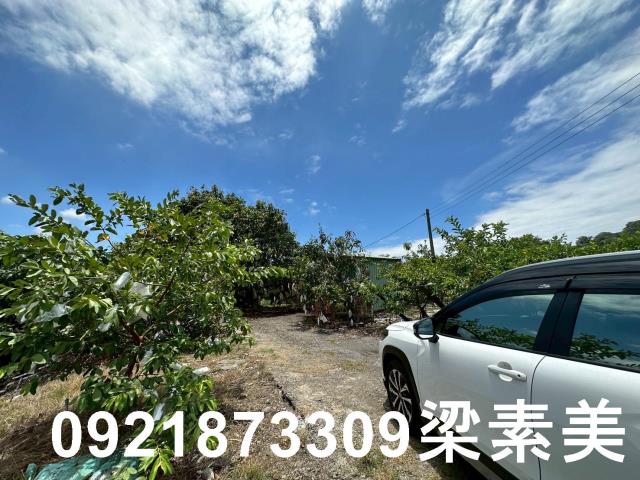 玉井農地-9