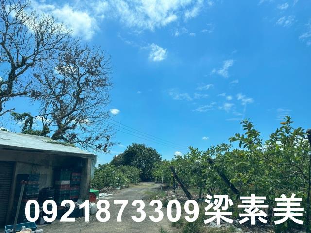 玉井農地-10