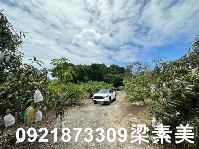 玉井農地-1