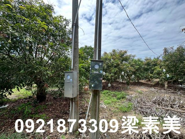 玉井農地-2