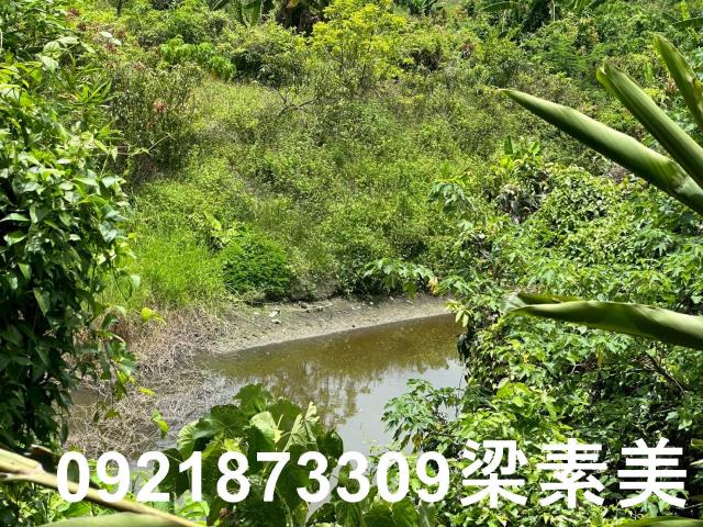 玉井農地-4