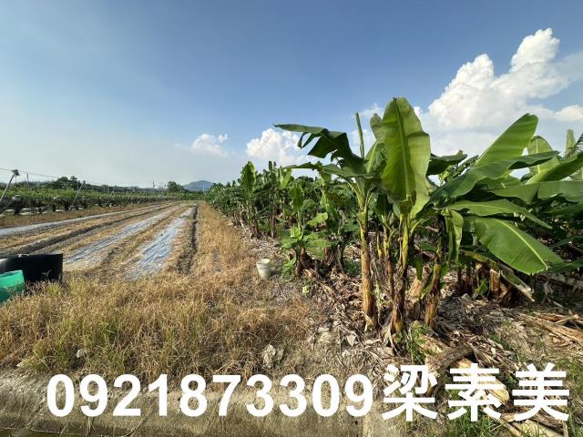 玉井農地-0