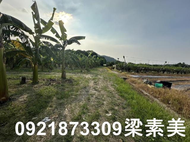 玉井農地-1