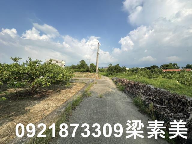 玉井農地-4