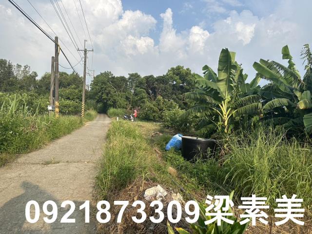 玉井農地-6