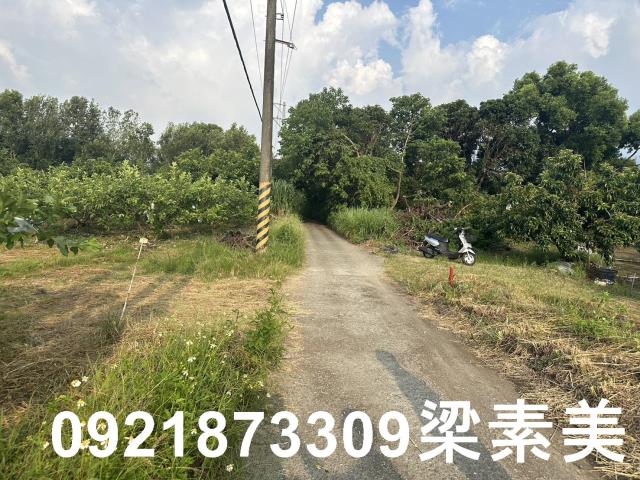 玉井農地-7