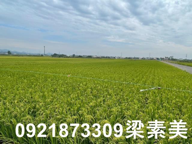 東山農地-1