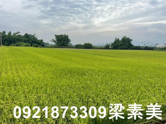 東山農地-2