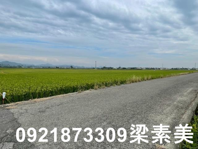 東山農地-3