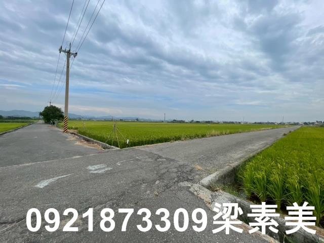 東山農地-4