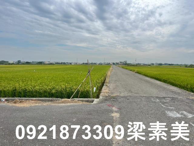 東山農地-6