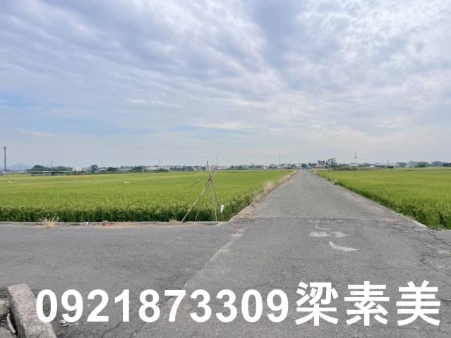 東山農地-7