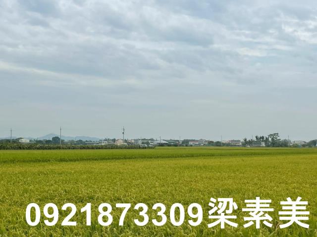 東山農地-0