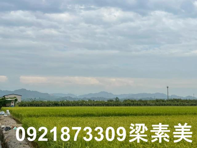 東山農地-1