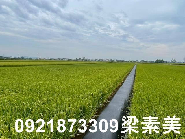 東山農地-2