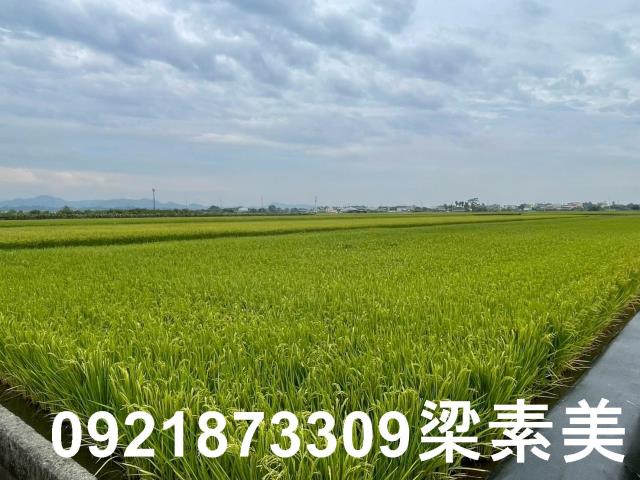 東山農地-3