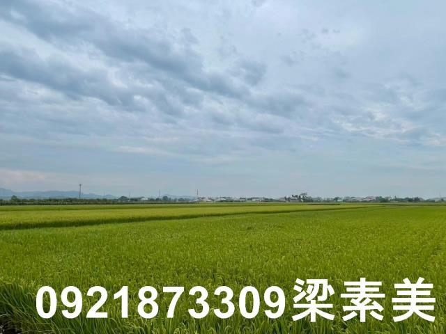 東山農地-4