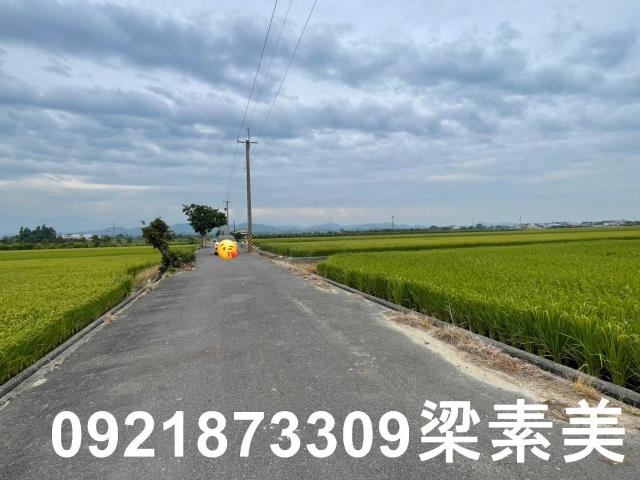 東山農地-5