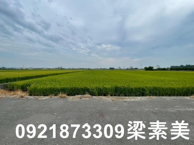東山農地-6