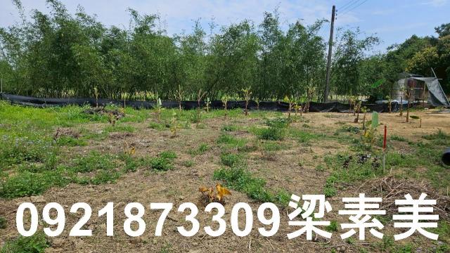 台南關廟農地-0