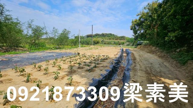 台南關廟農地-3
