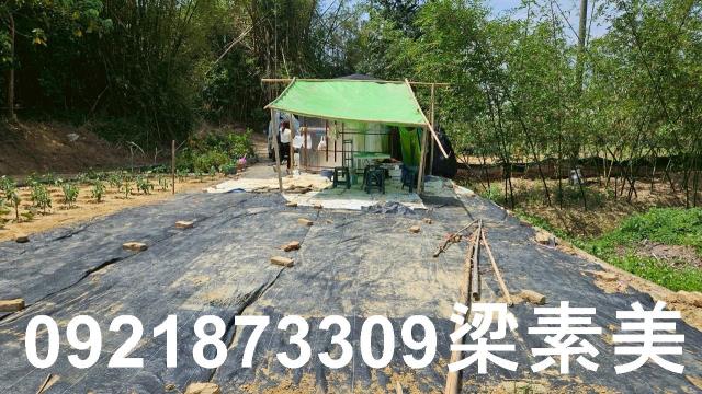 台南關廟農地-5