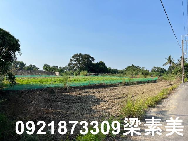 台南關廟農地-7