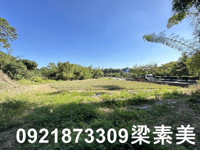 台南關廟農地-0