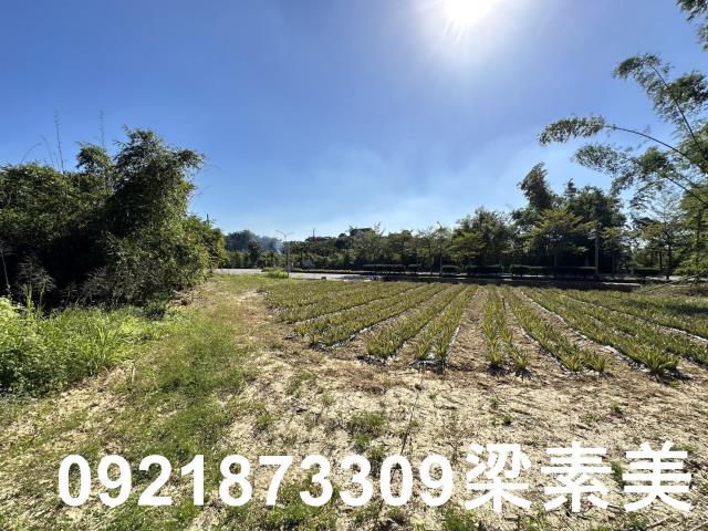 台南關廟農地-1