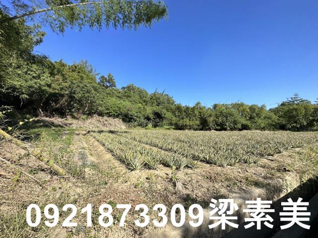 台南關廟農地-4
