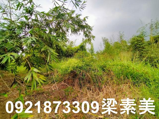 台南關廟農地-1