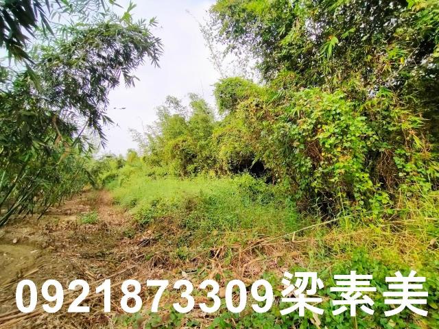 台南關廟農地-2