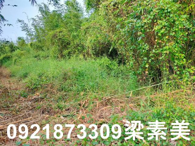 台南關廟農地-3