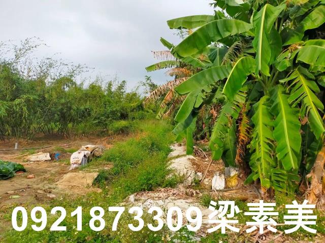 台南關廟農地-8