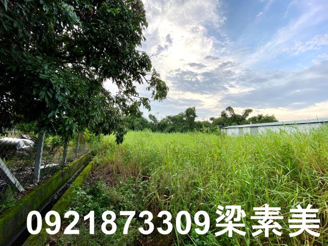 台南農地-9