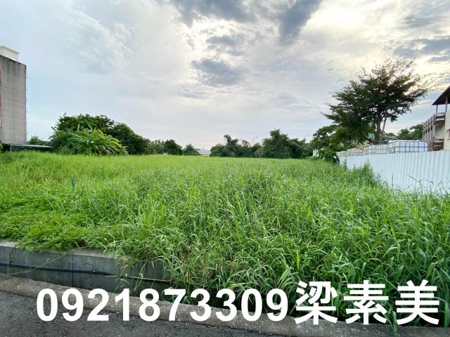 台南農地-11