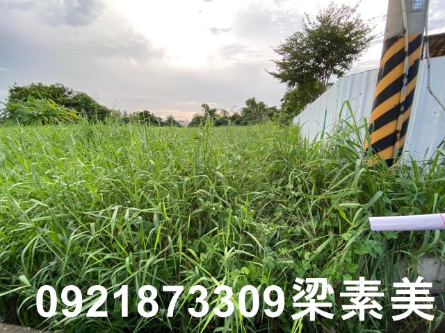 台南農地-1