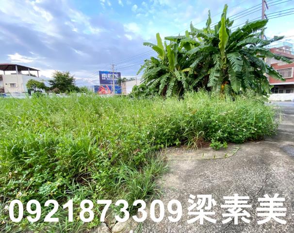 台南農地-3