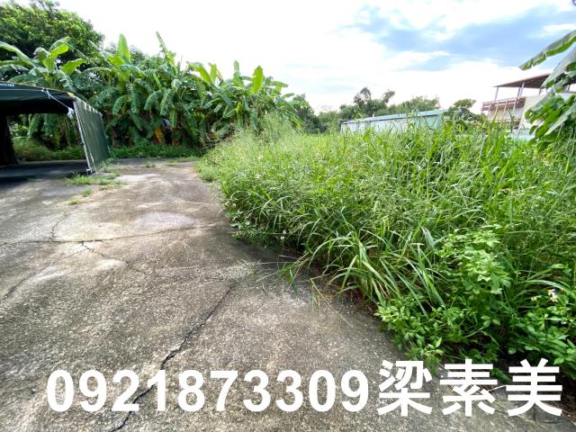 台南農地-4