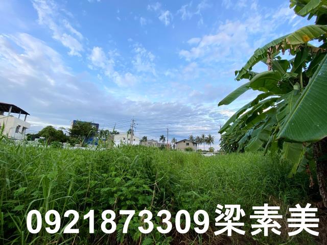 台南農地-7