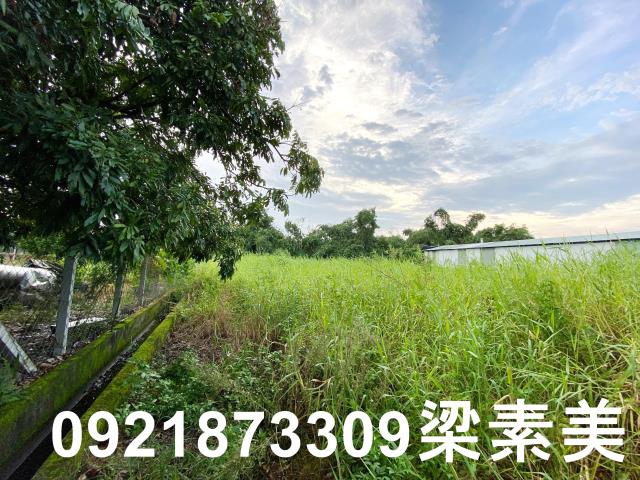 台南農地-8