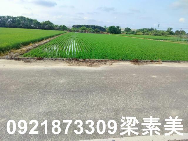 歸仁農地-1