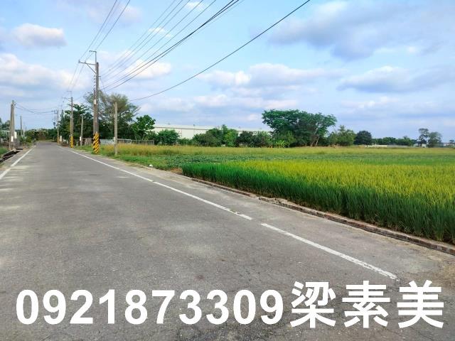 歸仁農地-5
