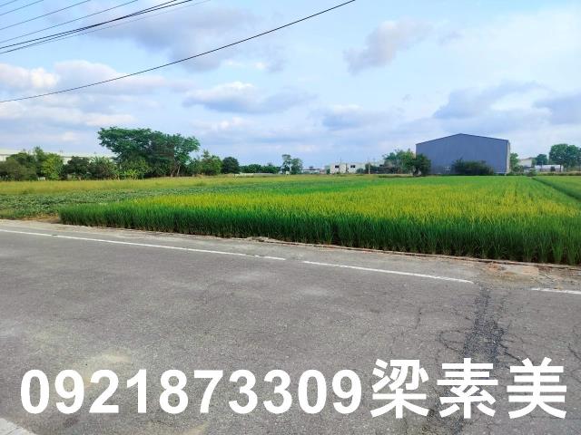 歸仁農地-6