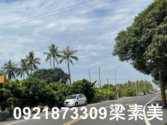 仁德農地-6