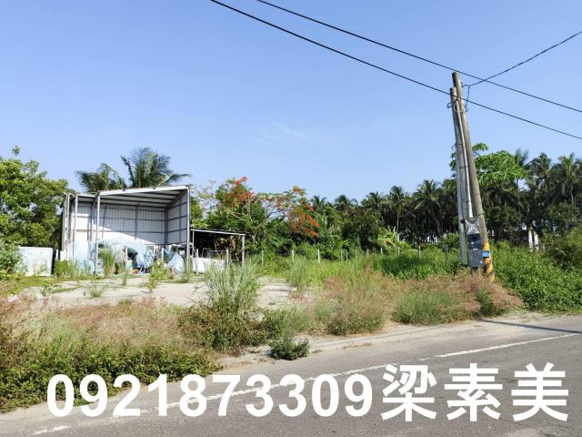 仁德農地-7