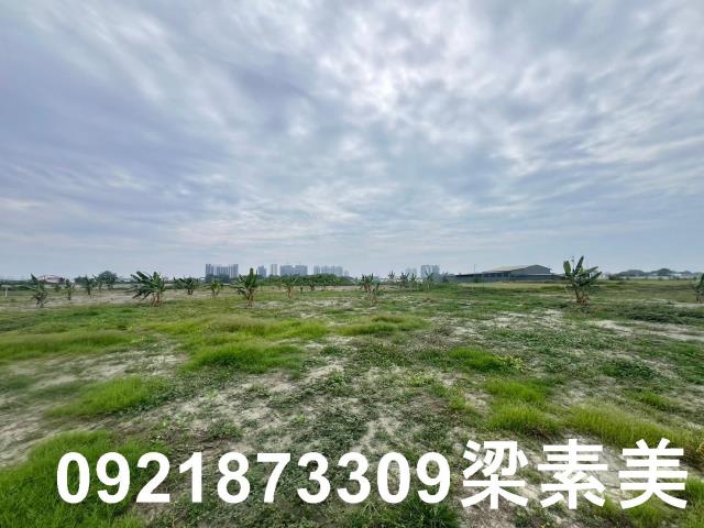 仁德農地-10