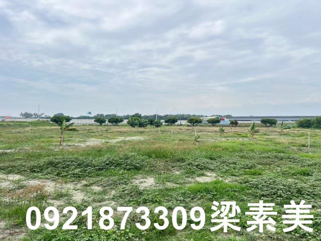 仁德農地-11